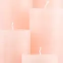 Pale Dogwood ghiacciato