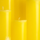 Bright yellow smooth