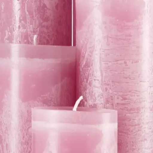 Cyclamen glacé